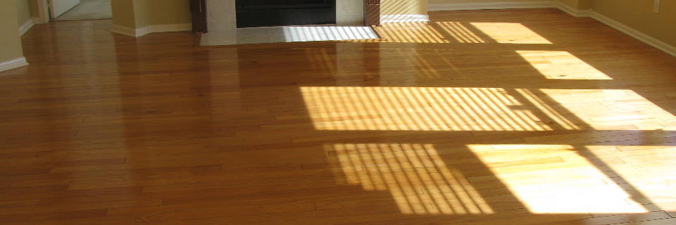 refinished hardwood floor in entryway