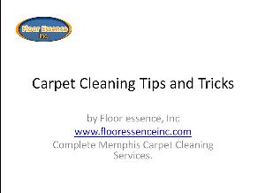 Carpet Cleaning Tips and Tricks PDF icon