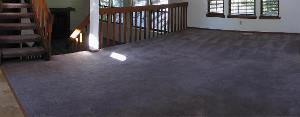 Carpet area recently cleaned