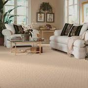 clean carpeting in living room